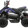 SHOK Quest - Kids Utility E-ATV