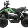 SHOK Quest - Kids Utility E-ATV