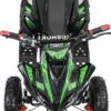 SHOK Quest - Kids Utility E-ATV
