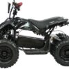 SHOK Quest - Kids Utility E-ATV