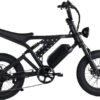 SHOK Nomad - Off-Road Fat Tire Ebike