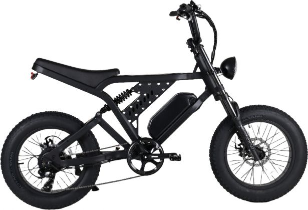 SHOK Nomad - Off-Road Fat Tire Ebike