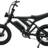 SHOK Nomad - Off-Road Fat Tire Ebike