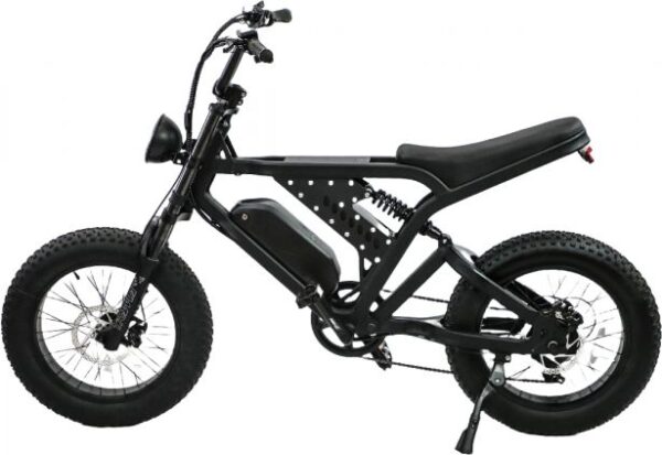 SHOK Nomad - Off-Road Fat Tire Ebike