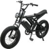 SHOK Nomad - Off-Road Fat Tire Ebike