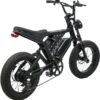 SHOK Nomad - Off-Road Fat Tire Ebike