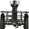 SHOK Triode - Black, 3-Wheel Ebike