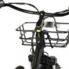 SHOK Triode - Black, 3-Wheel Ebike