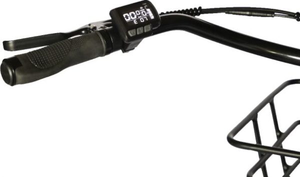 SHOK Triode - Black, 3-Wheel Ebike