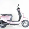Tao Virgo Ebike Electric Scooter- LITHIUM BATTERY
