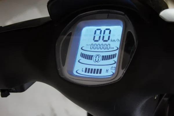 Tao Virgo Ebike Electric Scooter- LITHIUM BATTERY