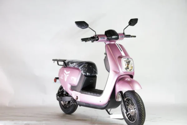 Tao Virgo Ebike Electric Scooter- LITHIUM BATTERY